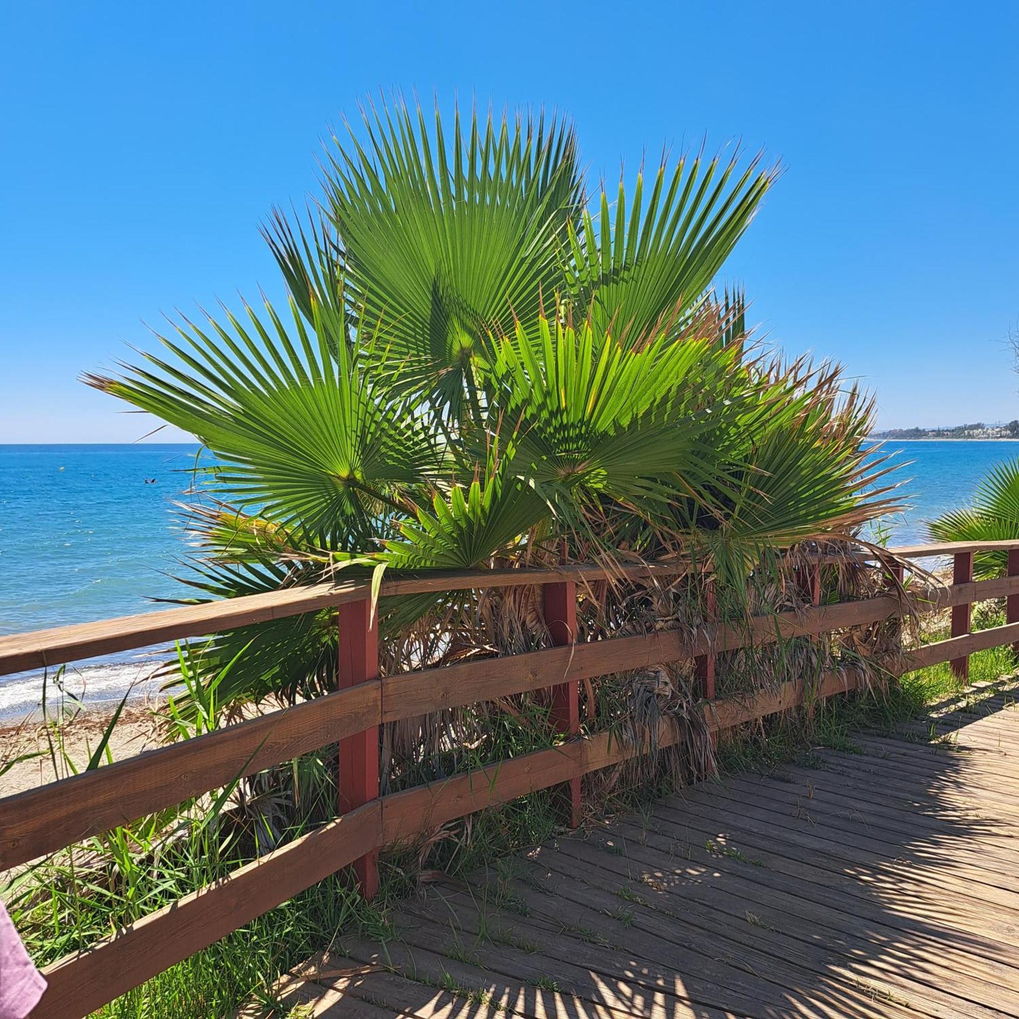 Hello Cosmo Apartment Estepona Ngoại thất bức ảnh